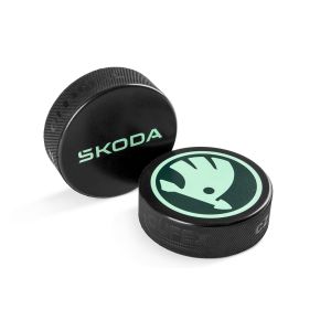 Eishockey Puck